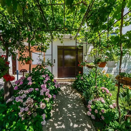 Mila Apartament